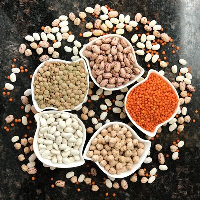Help mijn kind wil veganistisch eten